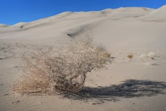 DSC07517