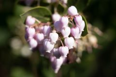 1_DSC1808-scaled