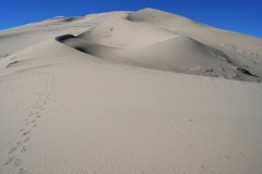 DSC07551