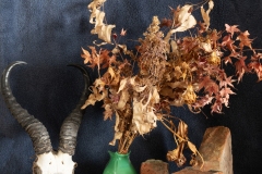 Photo 25 asssignment 2 Still Life