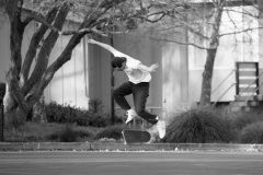 DSC2568bw