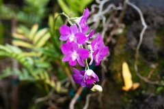 DSC06476