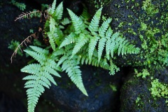 DSC06479
