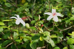 DSC06508