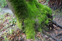 DSC0977-scaled