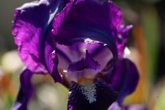 1_DSC1735-scaled