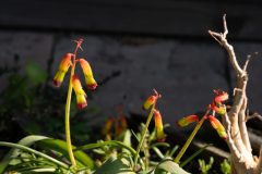 1_DSC1837-scaled