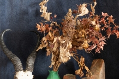still life composition with various objects