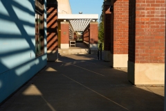 Pathway beside Laney College Arts Dept building