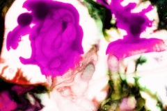 DSC3719