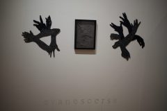 unknown installation, unknown gallery, Guanajuato