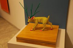 Oaxaca nahuales
