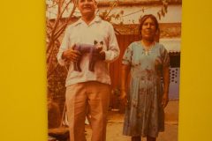 Oaxaca forefather of wood carved nahuales