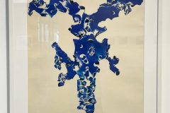 MACO Museo de Arte Contemporaneo y de las Culturas Oaxaquenas