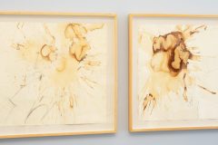 Magali Lara, UNAM  Museo Universitario Arte Contemporáneo