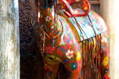 DSC05461-scaled