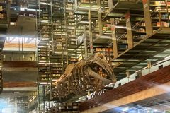 Biblioteca Vasconcelos, CDMX