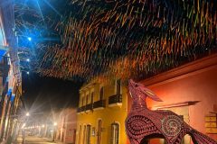 Oaxaca night scene with giant nahuale
