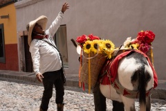 El hombre de burro, San Miguel de Allende