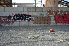 DSC00203-scaled
