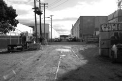 DSC00231bw
