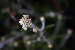 DSC2874-scaled